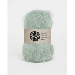PINGO CALIN